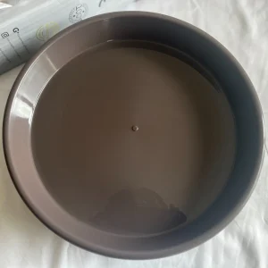 Interior view of the saucer showing smooth base and edges